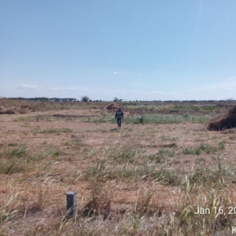 ដីលក់បន្ទាន់ខ្លាំង