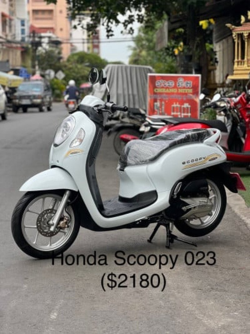Honda Scoopy 023